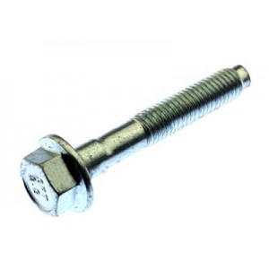 N806177-S437 Timing Chain Tension Bolt