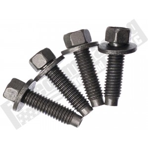 N804958-S8 OEM Ford 4.6L Timing Chain Guide Bolt (4 Pack)