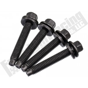 W718733-S430 Timing Chain Tensioner Guide Bolt (4 Pack)
